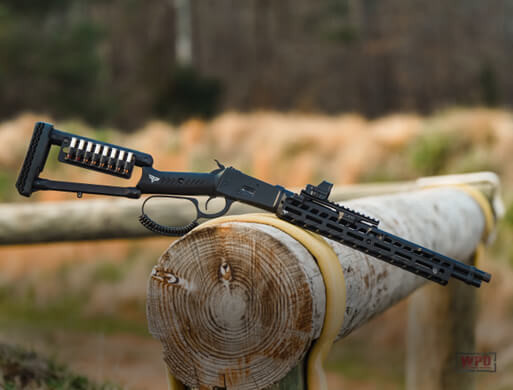 Gun on log fence