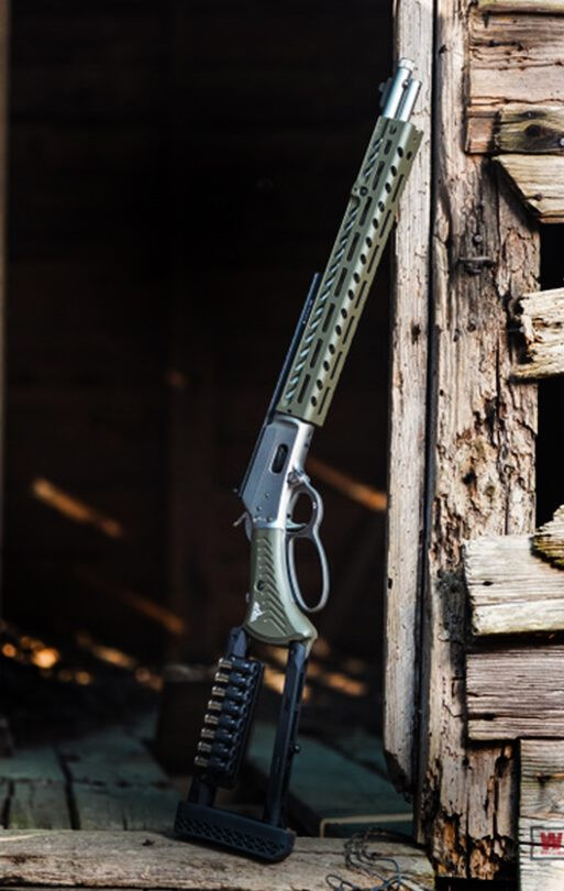 Gun leaning in doorway