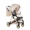 Junama Elegante Lamè Beige Pram Pushchair Travel System