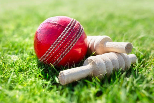 Cost-Effective Cricket Gear Packages