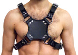 Mister B Leather Walking Harness