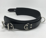 Deluxe Lockable Collar