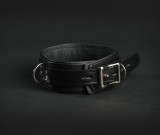 Deluxe Lockable Collar