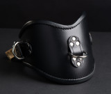 Lockable Posture Collar with 3 D Rings