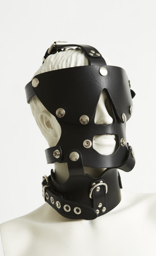 Head Harness 2