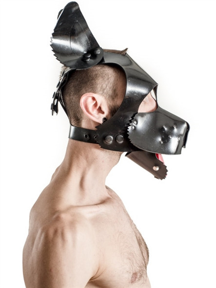 Mister B FETCH Rubber Dog Hood