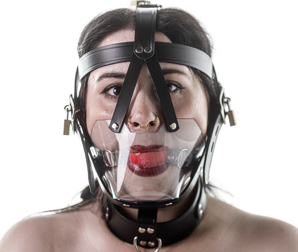Head harness clear muzzle 