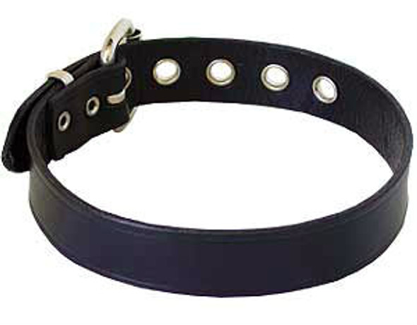 Buckle Armband / Collar 25mm