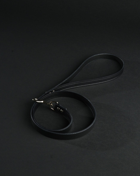 Leather Leash