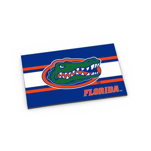 FLORIDA STRIPED MAGNET