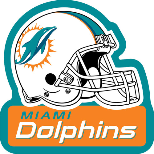 MIAMI DOLPHINS HELMET WORDMARK MAGNET