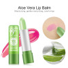 Aloe Vera Moisturizing Lipstick