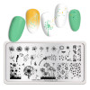 Nail Art Image Stamp Plates