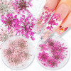 10 Pcs 3D Dried Flower Nail Art Decoration