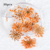 10 Pcs 3D Dried Flower Nail Art Decoration