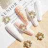 10 pcs Luxury Nail Art Decoration Charms