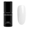 Snow Queen Hybrid Nail Polish 7.2 ml