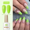 Summer Colour Fluorescence Nail Gel Polishes 10ml