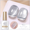 Silver Water Light Cat Magnetic Nail Gel Polish