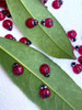 20 Pcs Little Ladybug Nail Art Resin Charms