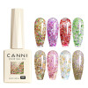 CANNI Hema/TPO FREE Aurora Glitter Polish Gel 9ml