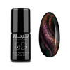 Cat Eye 5D Gel Posish 6 ml