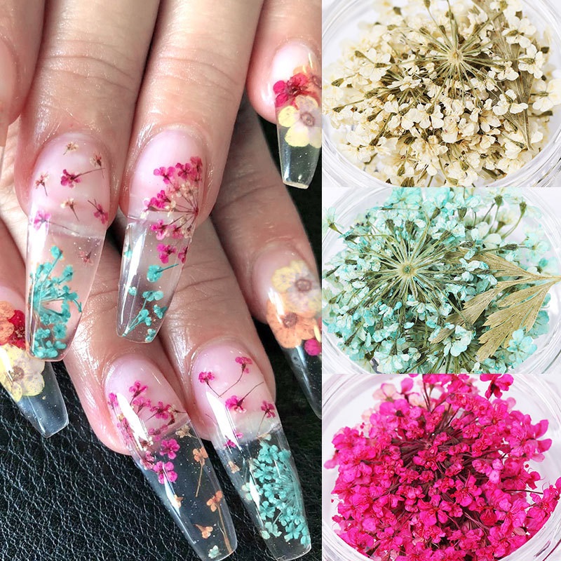 iFancer 108 Pcs Dried Flowers Nail Art 62 Colors 3D Dry Flowers