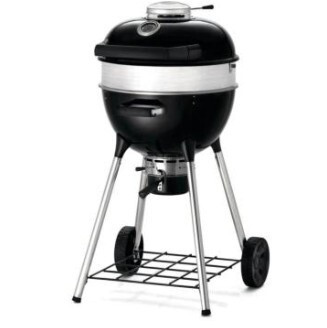 Napoleon Charcoal Grills