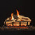 Dual Gas Logs Burner - Natural Gas by Grand Canyon Gas Logs - 2BRN-18