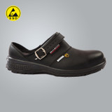 ESD Clogs