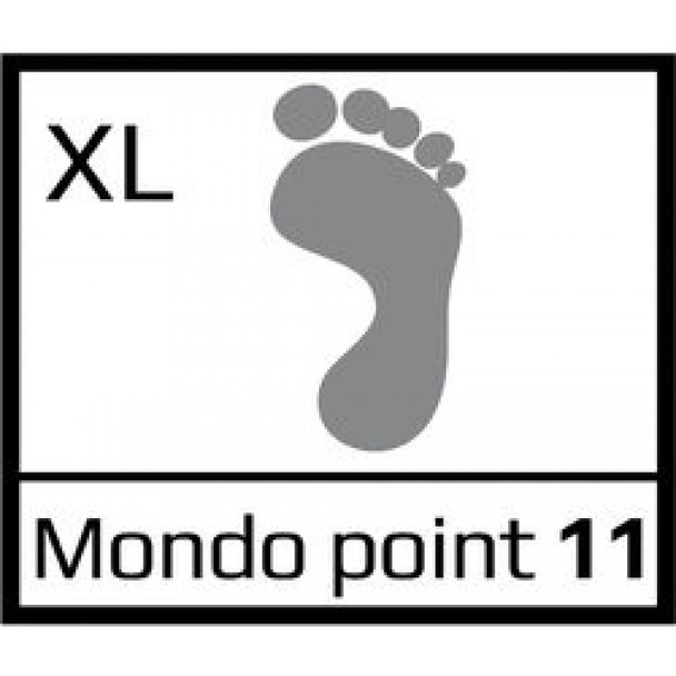 Mondo Point 11
