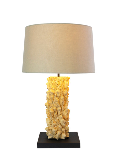 Polaris Table Lamp