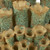 SEA FLOWERS VASE GREEN V112