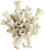 Handmade White Ceramic Ocean Bloom Vase – Sculptural Coastal Accent Vase