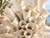 Close-up of handmade white ceramic Ocean Bloom vase showing flared coral-like openings and glossy ivory glaze