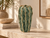 Green Moss sculptural ceramic vase displayed without flowers in a warm organic modern interior