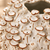 Close-up of handcrafted barnacle texture, creamy white glaze and brown edging on Thai ceramic vase