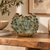 Sculptural moss green coral effect ceramic vase displayed without flowers on a wood console
