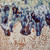 Close-up detail of handmade sand dollar ceramic vase showing embossed texture and layered indigo blue glaze.