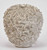 Encrusting Corals Ceramic Vase V219S