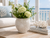 Sand dollar ceramic vase styled with soft white flowers in a bright coastal living room