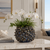 Blue Oyster Mushroom Ceramic Vase – 6"