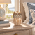 Small cream white sculptural ceramic vase displayed without flowers in a refined coastal setting