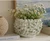 Handmade White & Green Oyster Mushroom Ceramic Vase – 6"