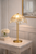 Capiz Shell Dome Table Lamp L111L styled on an accent table with warm ambient lighting in a refined coastal interior.