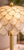 Close-up of the natural overlapping Capiz shells and scalloped dome shade on table lamp L112L.