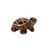 Small Handmade Ceramic Turtle