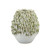 Small Thai White & Green Coral Vase – 10.5" Tall