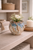 Lotus Reef earth and indigo ceramic bud vase styled with a small botanical arrangement in an upscale interior.