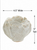 Speckled white petal-rim ceramic bud vase with measurement graphic showing 4.5 inches wide by 5 inches tall